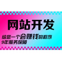 大型门户网站建设分类信息服务政府教育机构政务平台